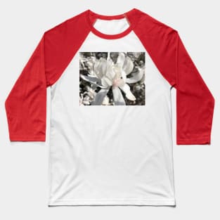 Whte Spider Magnolia Baseball T-Shirt